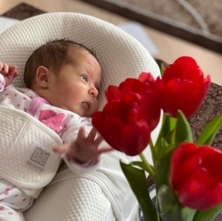 Курс видеоуроков 